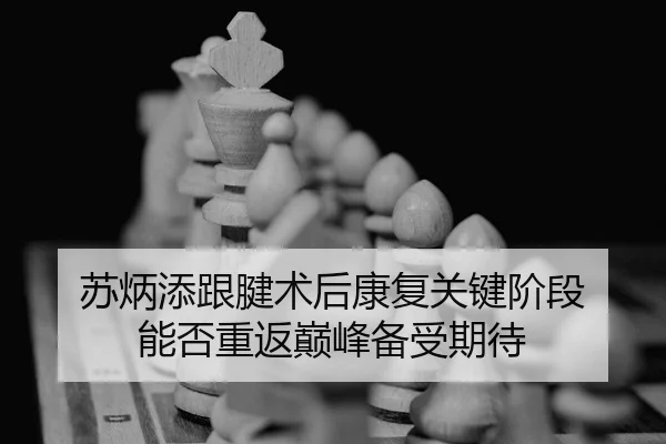 苏炳添跟腱术后康复关键阶段 能否重返巅峰备受期待